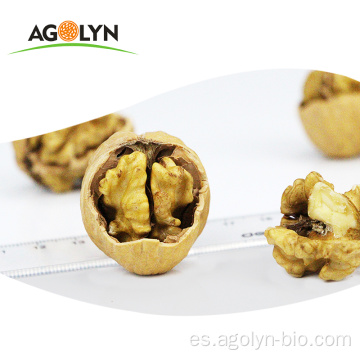 Precios de nueces orgánicas frescas ininterrumpidas de cáscara de papel agolyn